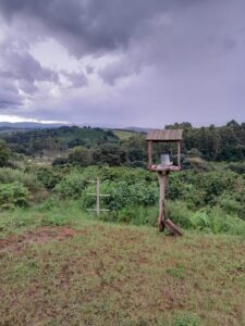 Recanto de Minas – Ouro Fino – Sítio com cafezal