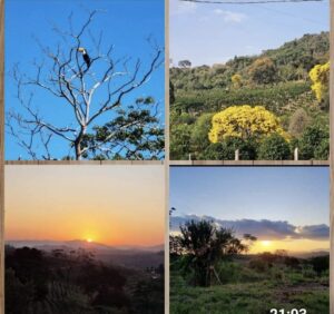 Recanto de Minas – Ouro Fino – Sítio com cafezal